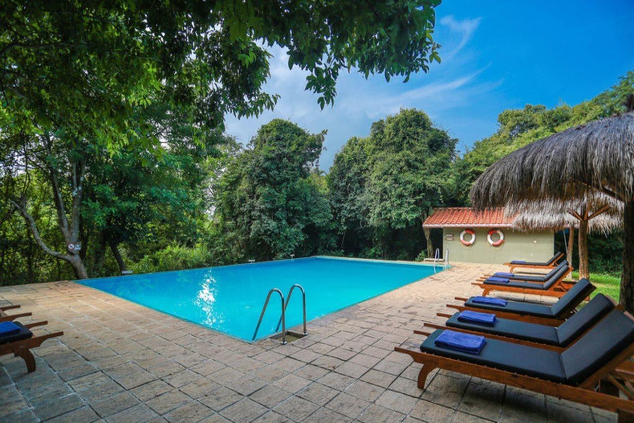 Wild Grass Nature Resort Sigirîya Extérieur photo