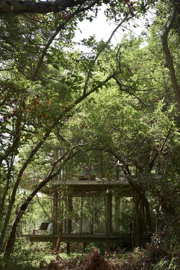 Wild Grass Nature Resort Sigirîya Extérieur photo