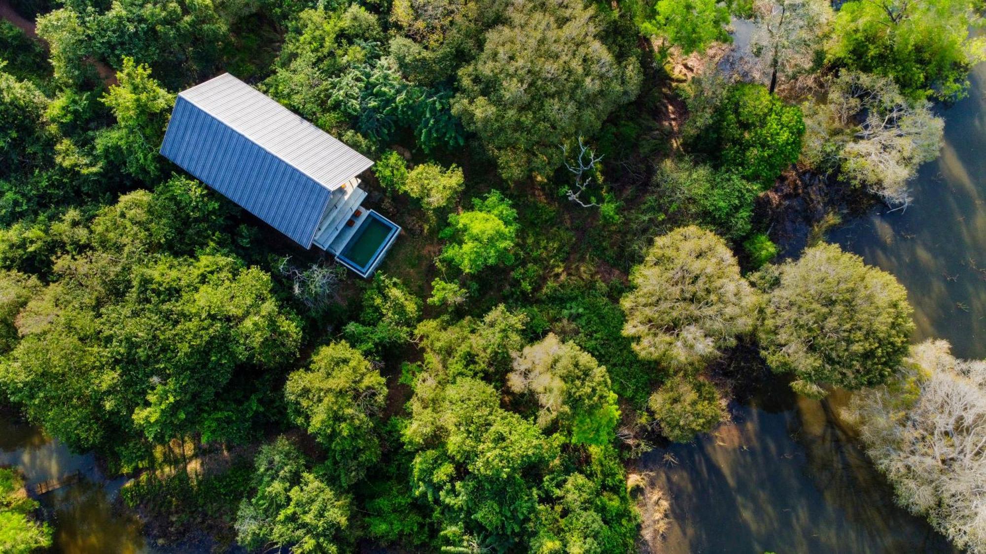 Wild Grass Nature Resort Sigirîya Extérieur photo