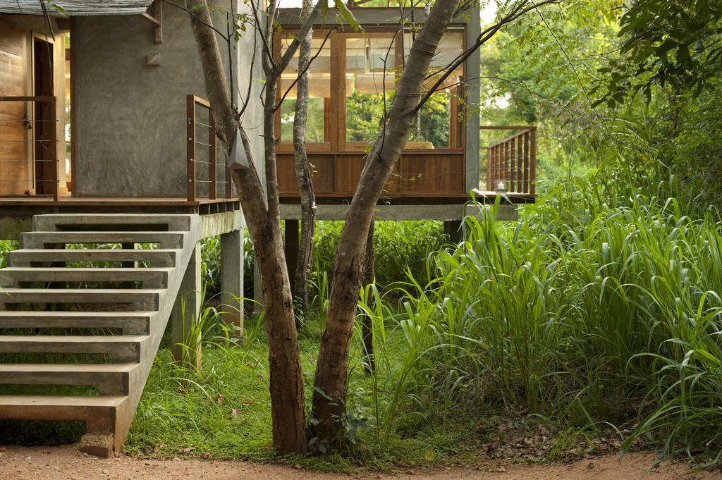 Wild Grass Nature Resort Sigirîya Extérieur photo