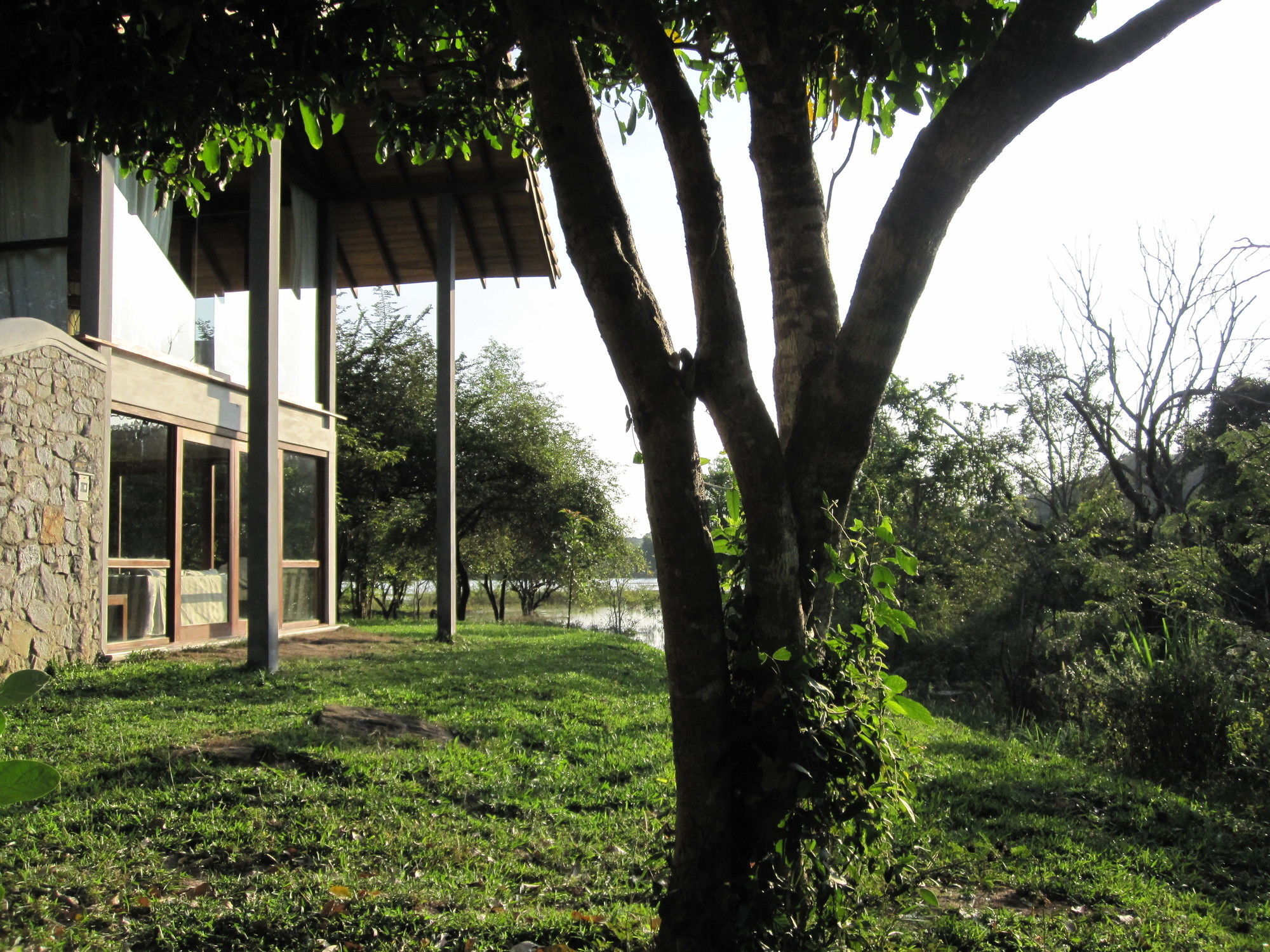 Wild Grass Nature Resort Sigirîya Extérieur photo